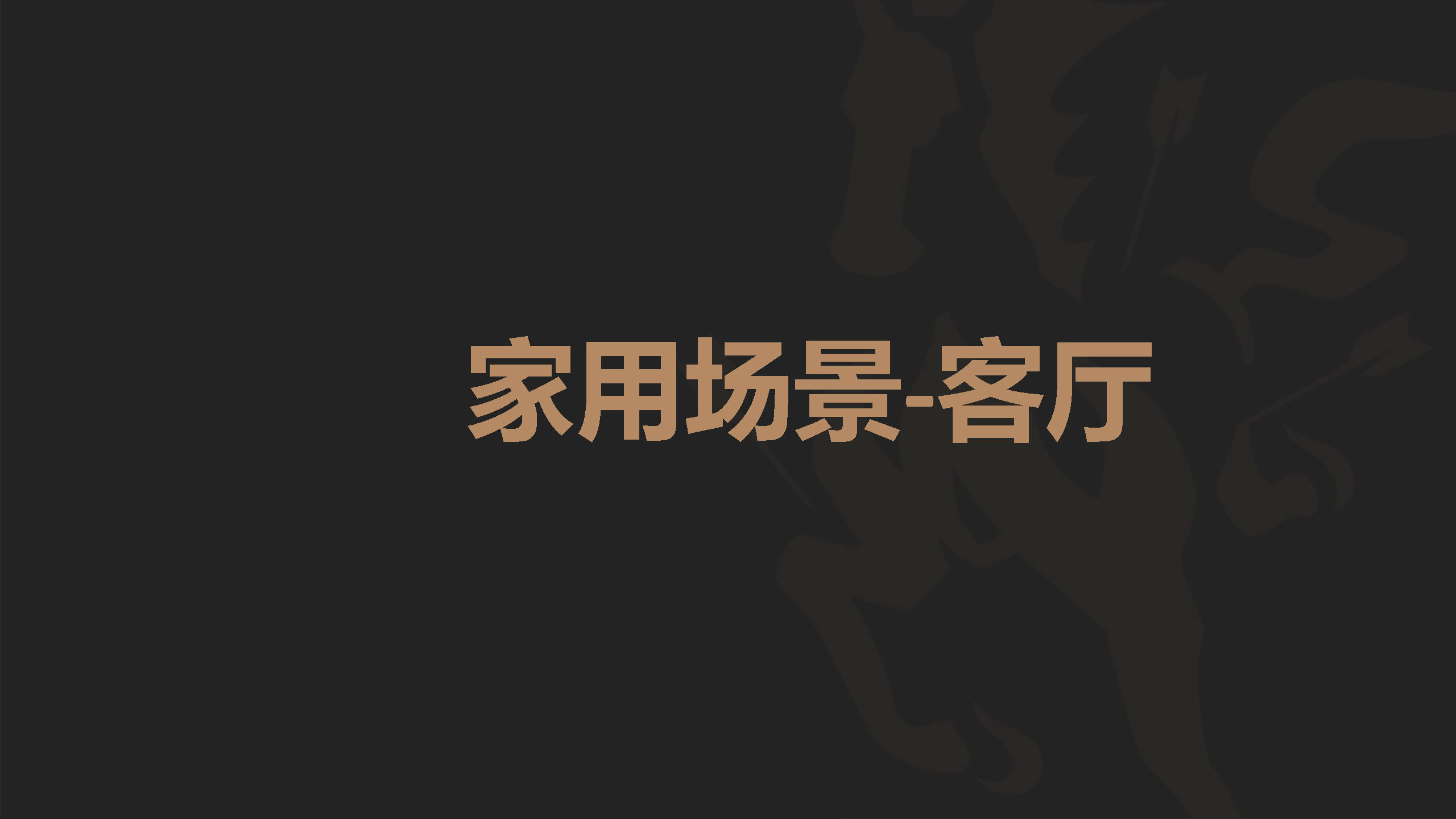 小型/家庭健身房-家用（客厅）